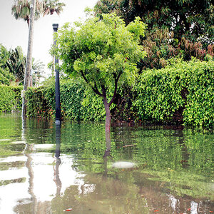 flooding of a Miami street