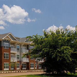 A row of new three-story apartment buildings with a tree in the foreground.