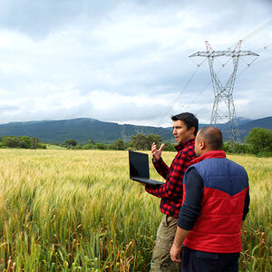 A pair of farmers, one of whom is holding a laptop, stand in wheat fields, an electrical tower in the background.