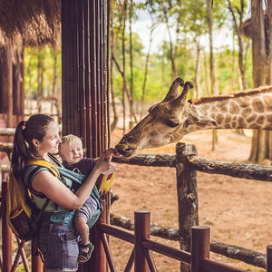 A family interacting with a giraffe at the zoo. A family interacting with a giraffe at the zoo.