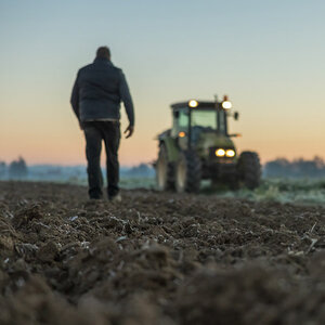 A working farm.