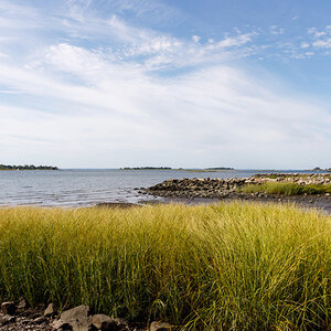 Long Island Sound as seen from a Connecticut beach, with green beach grass, at low tide