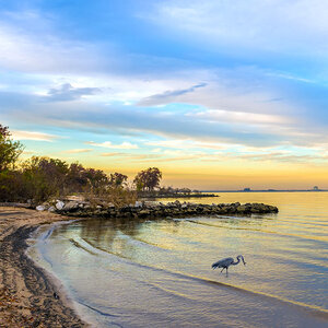 The shores of the Chesapeake Bay.
