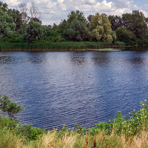 A view of a lake with grasses and trees lining the far shore. A view of a lake with grasses and trees lining the far shore.