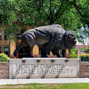 A statute of a bison on a tree-filled college campus.