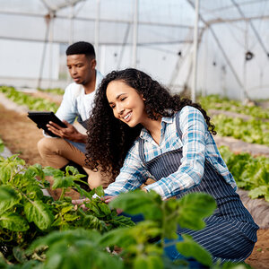Two farmers working together.