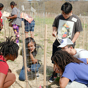 Group of youth gathered around a just-planted sapling.