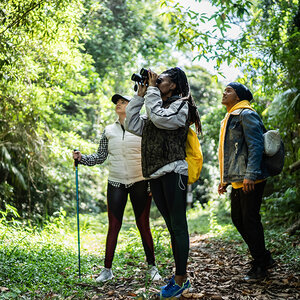 A group of hikers stop to bird watch. A group of hikers stop to bird watch.