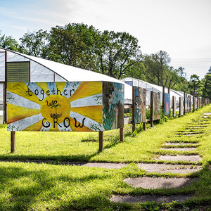 A colorful mural with the words We Grow Together runs along a sunny path in a public garden.
