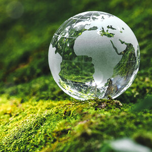 A crystal globe of the earth rests on a bed of moss in the forest.