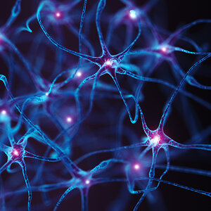 An electron microscope view of nerve cells. An electron microscope view of nerve cells.