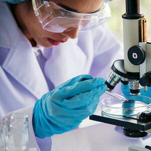 A female scientist in a lab prepares to use a microscope. A female scientist in a lab prepares to use a microscope.