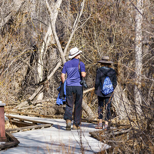 A couple walking on a boardwalk trail at the Big Morongo Canyon Preserve.