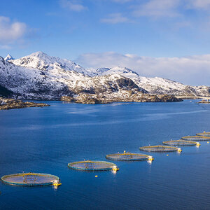 Schmidt Family Foundation awards $3.5 million for sustainable fishing