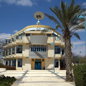 A college building surrounded by palm trees. A college building surrounded by palm trees.