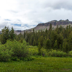 A forest landscape of fields, trees, and mountains.