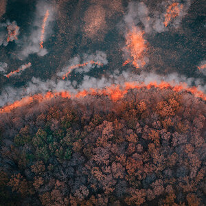 Wildfires ravaging a forest. Wildfires ravaging a forest.