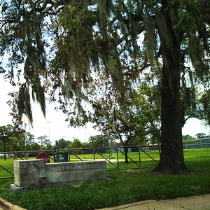 The entrance to a park with a stone sign that reads MacGregor Park next to a large shade tree covered in Spanish moss.