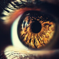 UC San Diego receives $20 million for glaucoma research