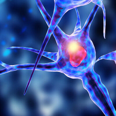 A 3D illustration of a neuron.