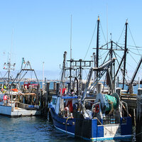 New England fishing boats sit moored to a dock in a harbor.