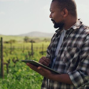 A farmer with a computer tablet looking over his crops.