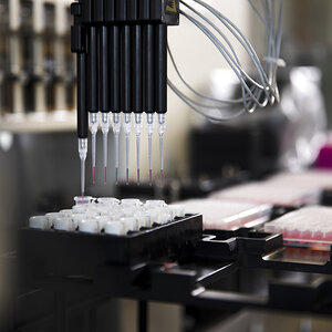 Genomics testing happening in a lab. Genomics testing happening in a lab.
