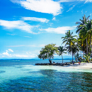 A tropical beach with palm trees and ocean. A tropical beach with palm trees and ocean.