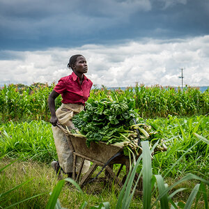 A female farmer working in the field.