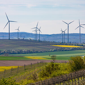 WRI, UChicago receive $100 million for global energy transition WRI, UChicago receive $100 million for global energy transition