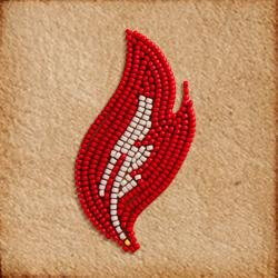 American Indian College Fund American Indian College Fund