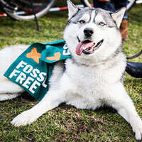 350.org 350.org