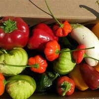 412 Food Rescue
