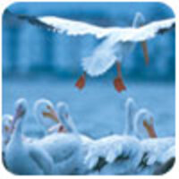 Conservation Fund Conservation Fund