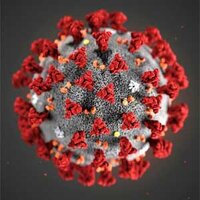 Coronavirus in the United States: Mapping COVID-19 (USAFacts) Coronavirus in the United States: Mapping COVID-19 (USAFacts)
