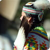 Culture Quest Culture Quest