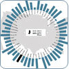 Elections Performance Index Elections Performance Index