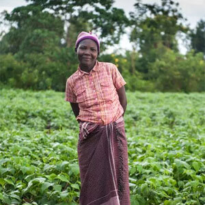 GiveDirectly GiveDirectly