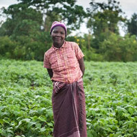 GiveDirectly GiveDirectly