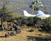 Great Elephant Census