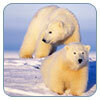 Natural Resources Defense Council Natural Resources Defense Council