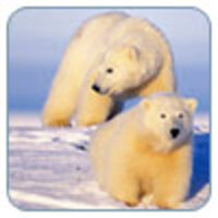 Natural Resources Defense Council Natural Resources Defense Council