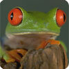 Nature Conservancy Nature Conservancy