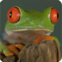 Nature Conservancy Nature Conservancy