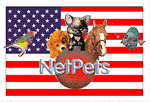 NetPets Military Pets Foster Project NetPets Military Pets Foster Project