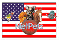 NetPets Military Pets Foster Project NetPets Military Pets Foster Project