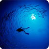 Ocean Portal Ocean Portal