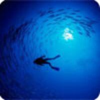 Ocean Portal Ocean Portal