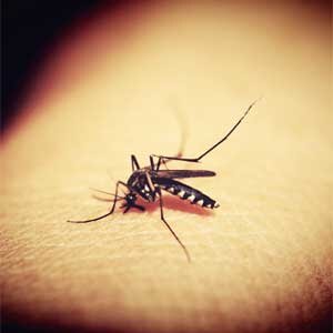 Prevent Epidemics Prevent Epidemics