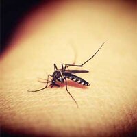 Prevent Epidemics